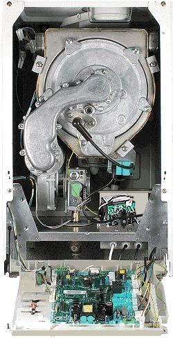 bg 330 inner iris.gif